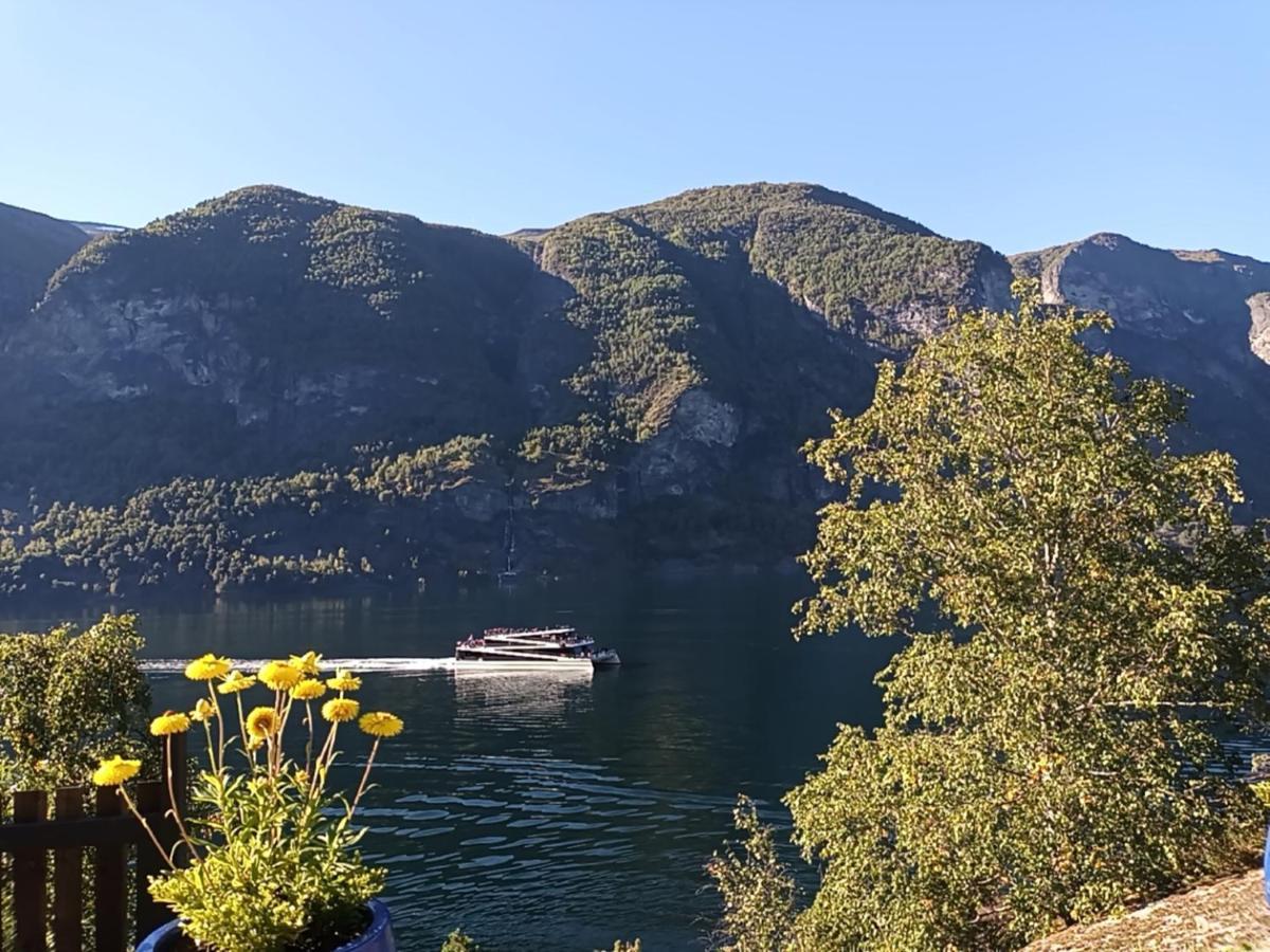 Apartament Otnes Sor Aurland Zewnętrze zdjęcie